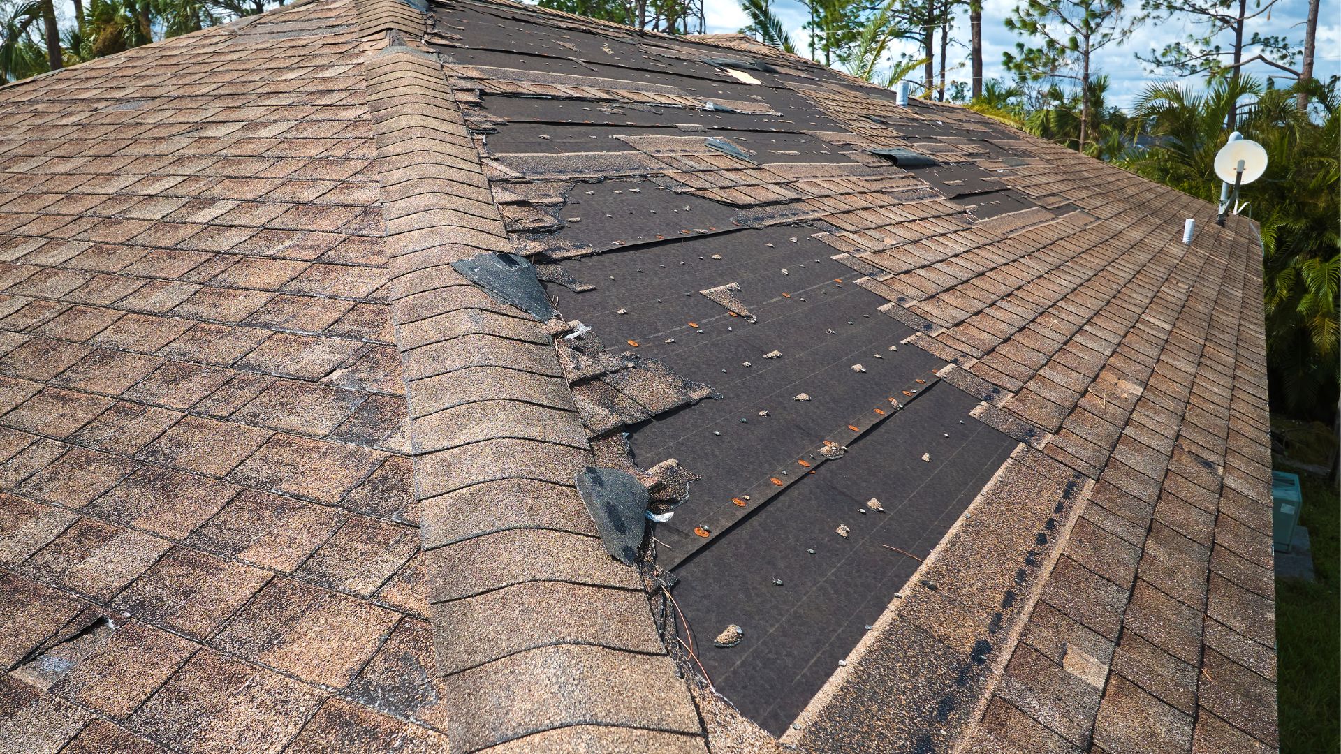 tustin, CA roof leak