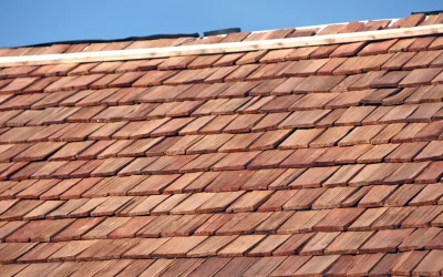 “The Timeless Elegance of Cedar Shake Roofs: A Look at Their History and Popularity Today”
