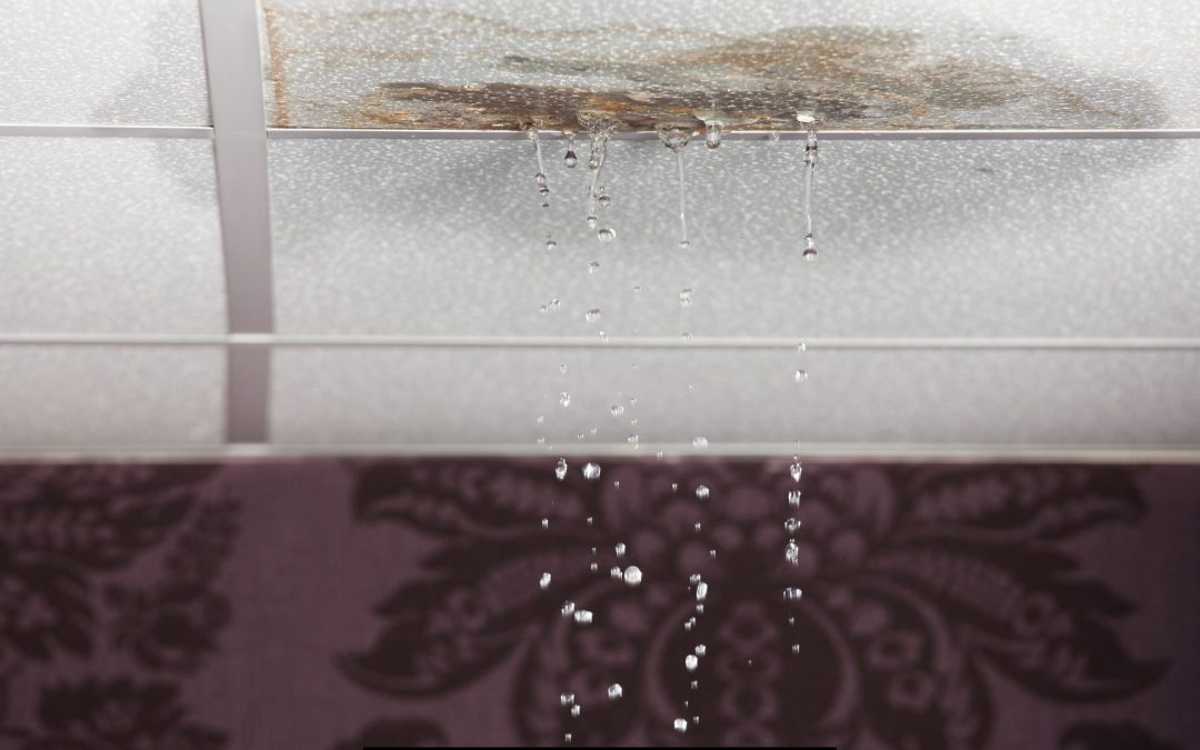 Tustin, CA Roof Leaks