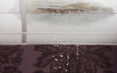 An In-Depth Guide to Identifying and Repairing Roof Leaks